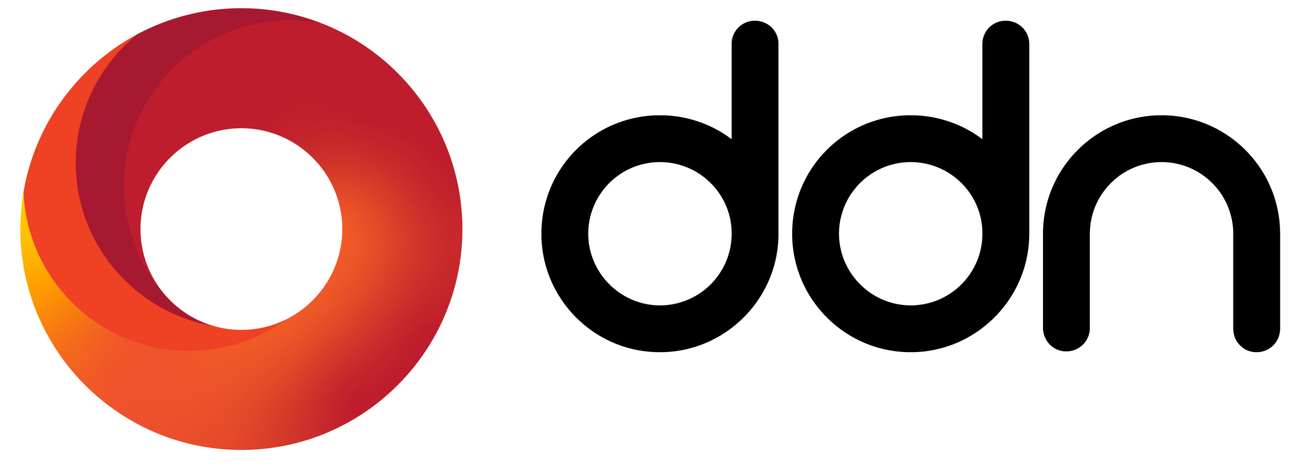 DDN-Logo-Landscape-RGB