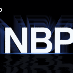 DatApp-NBP Massive Data Backup System